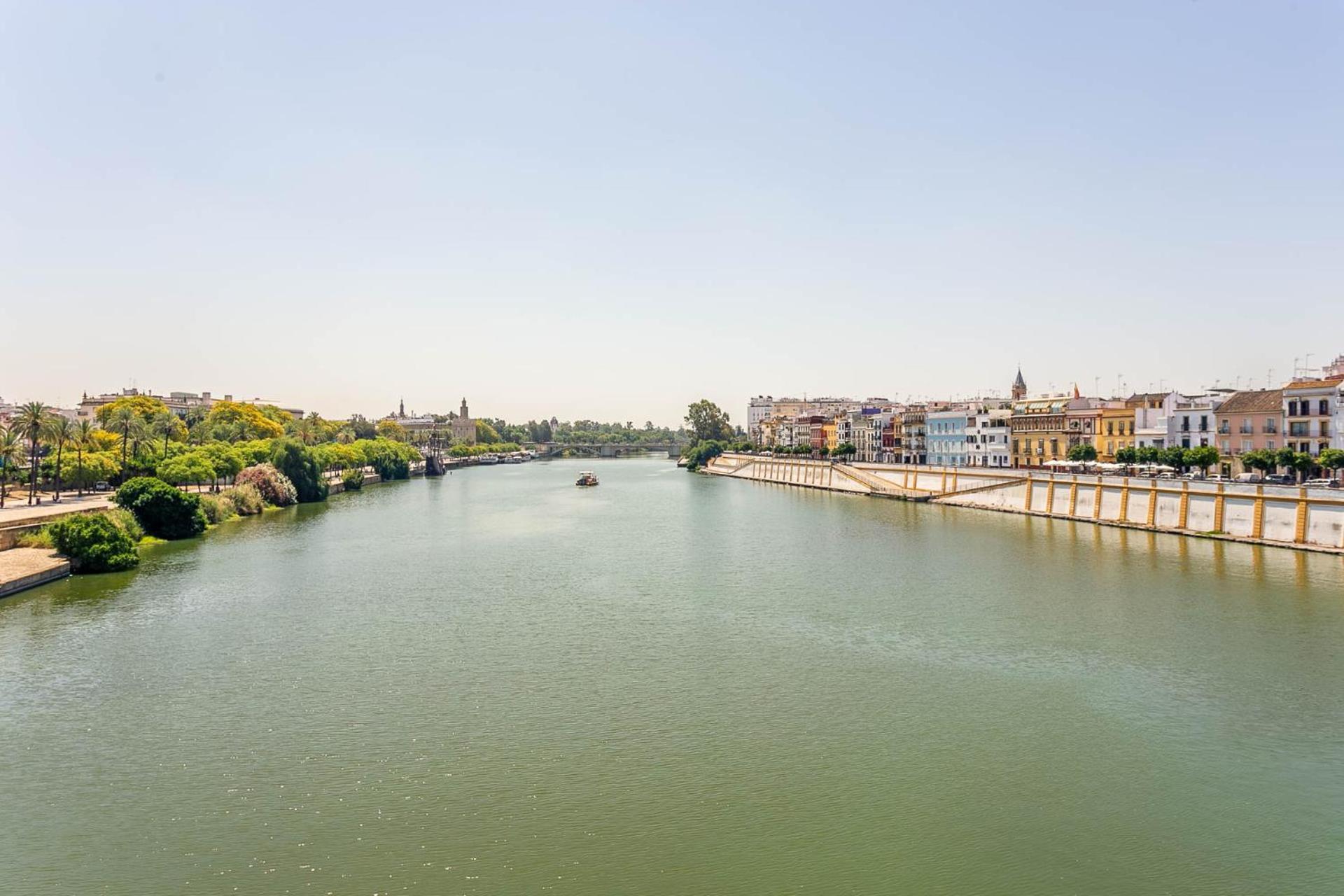 Sunterrace Loft-Triana'S Star, 10' From City Center! Севілья Екстер'єр фото